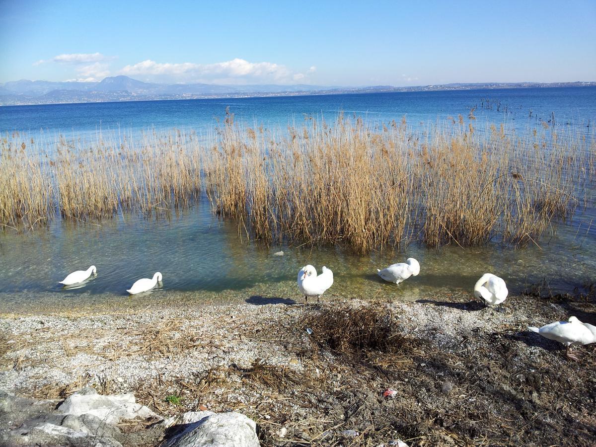 Debora Maison B&B Colombare Di Sirmione Екстер'єр фото